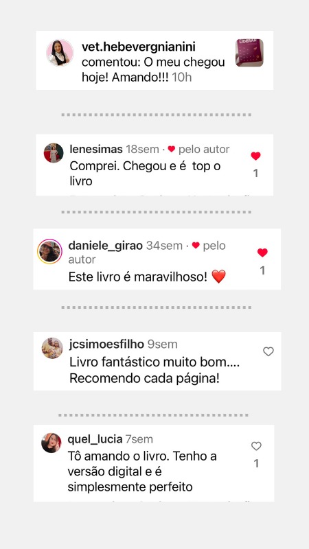 Comentário de leitor sobre o livro Escolhi Liderar